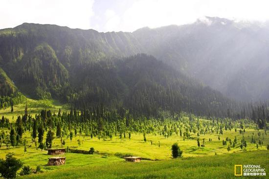摄影:YASIR NISAR,GETTY IMAGES