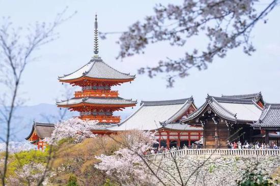 从京都到奈良，时尚新娘寻找樱花之旅