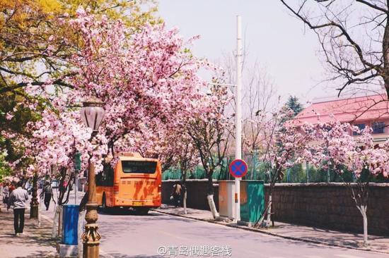 ▲图:@青岛偶遇客栈