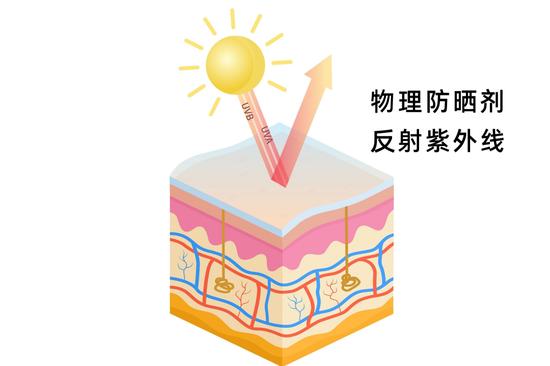制作于canva