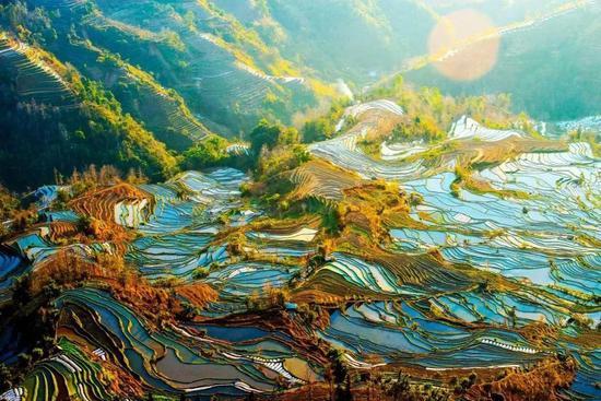 (图:@大自然工作坊)