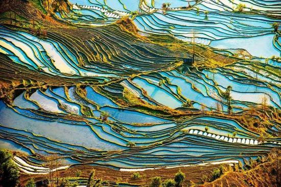 (图:@大自然工作坊)