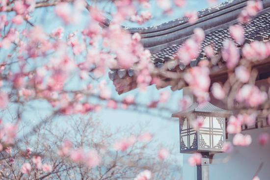 ▲图:@墙里的花园