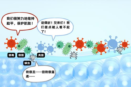 字体素材均来源于Canva(下同)