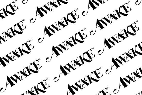 Palace / Supreme / Awake