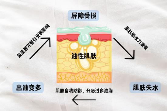 字体素材均来源于Canva