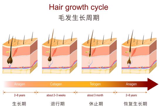 图源视觉中国,制作于canva
