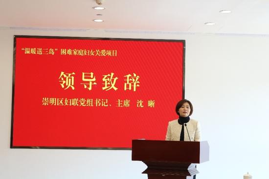 崇明区妇联主席沈晰女士发言