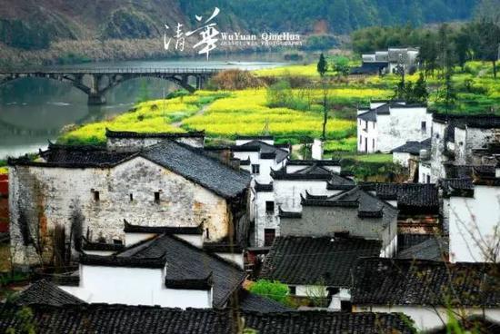 ▲图:@-章鱼丸-