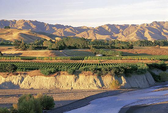 图片来源:New Zealand Wine