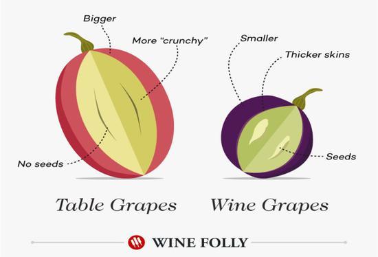 图片来源:winefolly
