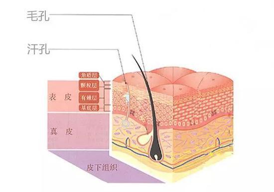 CR:图片来源网络