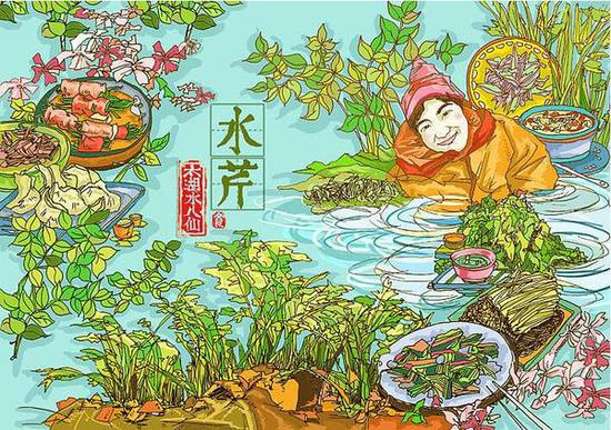 水八仙——水芹 插画来自LULULUhe