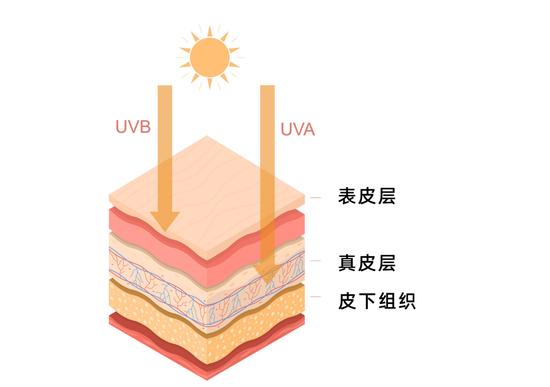 制作于canva(下同)