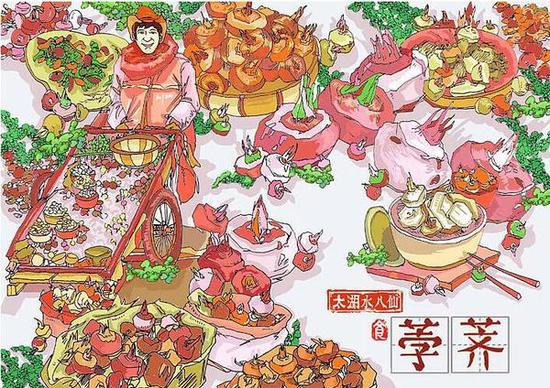 水八仙——荸荠 插画来自LULULUhe