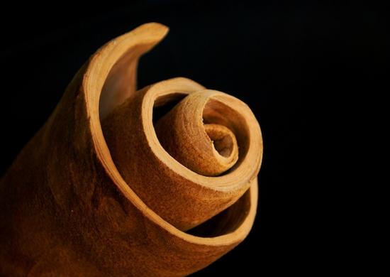 MuSkin 材料