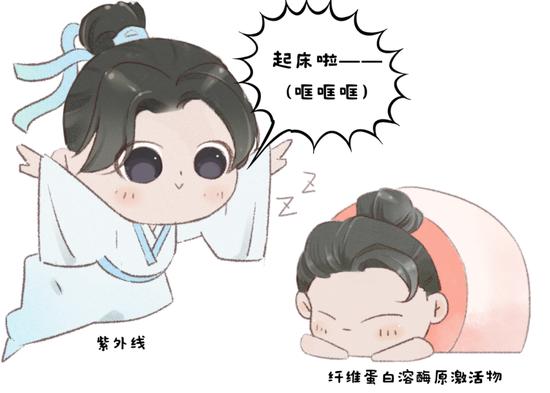 图片由canva制作 下同