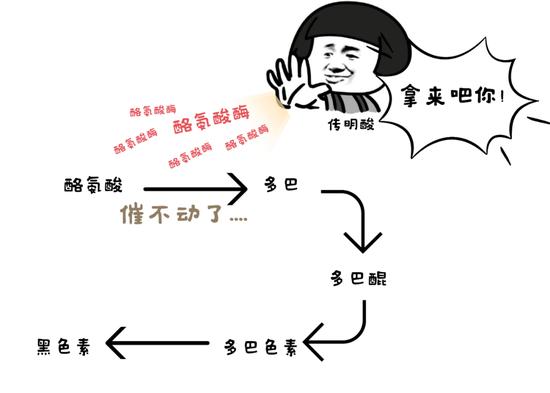 图片由canva制作