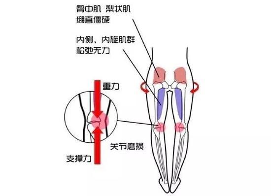cr:微博@美态研究院