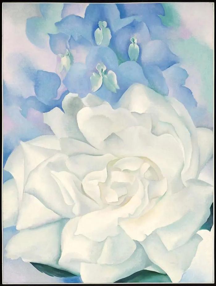 《白玫瑰与飞燕草第2号》,乔治亚·欧姬芙,1927年,布面油画