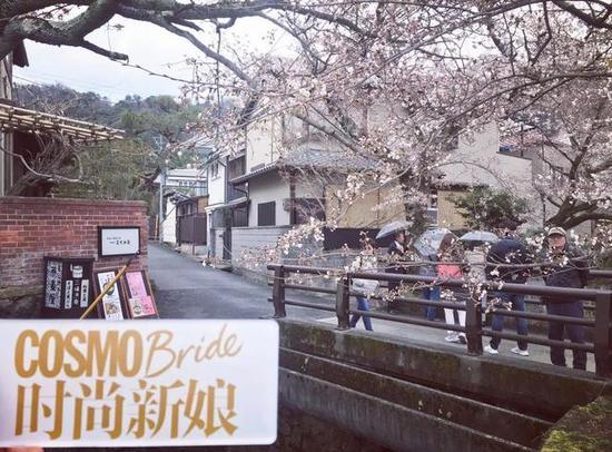 从京都到奈良，时尚新娘寻找樱花之旅