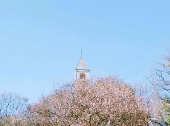 图:@尼尔斯