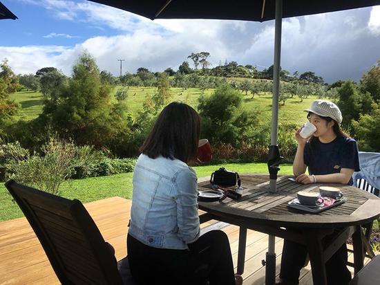 Waiheke Honey House里的露台,可以喝杯饮料小憩一下
