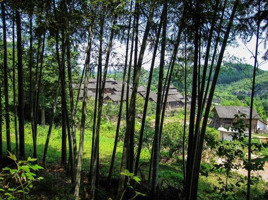 △ 坐标:贵州省黔东南苗族侗族自治州黎平县肇兴村202省道