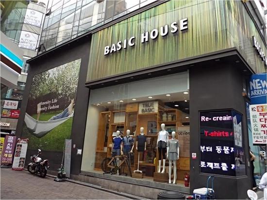Basic House