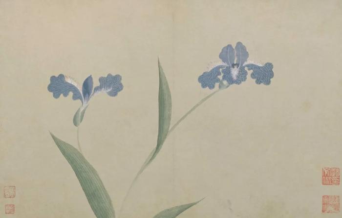 (明)文俶《花卉图册》,故宫博物院藏