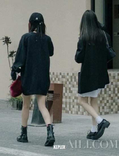 (图片来源:网络)