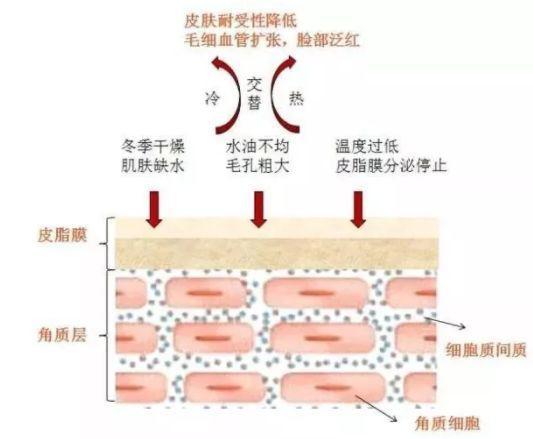 cr:知乎lvy娘娘