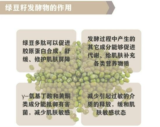 cr:图虫创意,制图canva