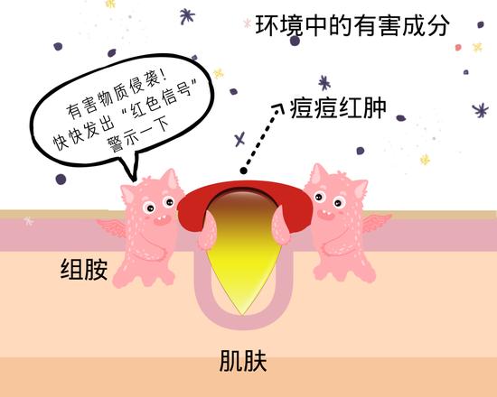 cr:canva(下同)