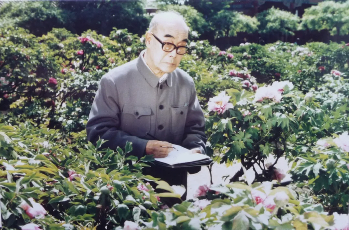 1979年参与拍摄纪录片《王雪涛的画》,在景山公园写生