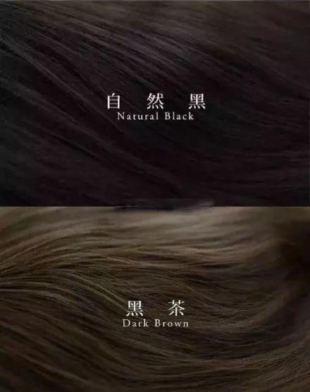 (图源来自网络)