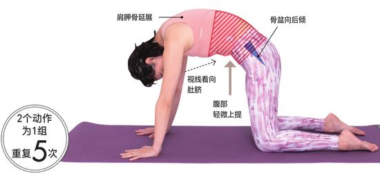普拉提+瑜伽 6个动作远离肩酸和腰痛