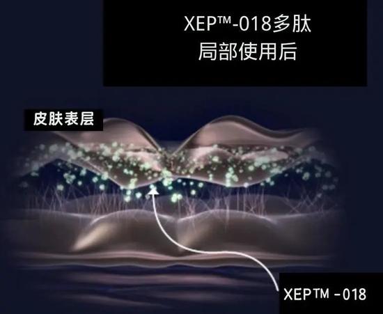 cr:Activen公司官网