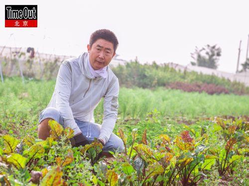 小柳树农园主:柳刚