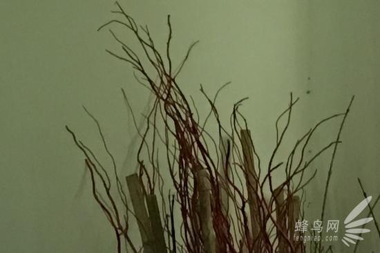 iPhone6s拍摄照片100%截图