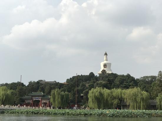 焦距:6.6mm 光圈:f/2.8 ISO感光度:20