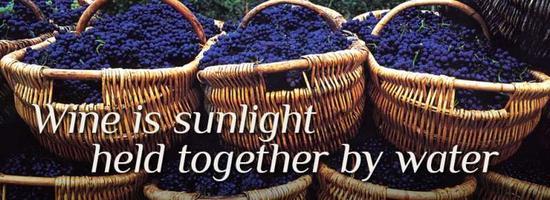 图片来源:Melleceywinegroup