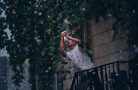 ▲图:@Eden_Z