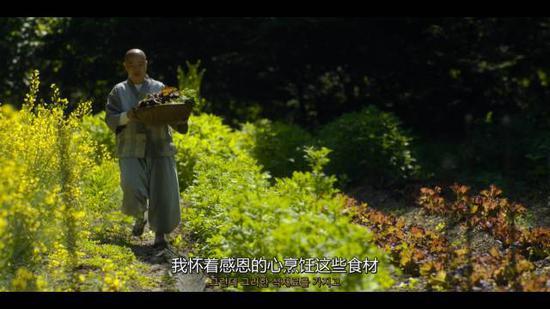 采摘食材的时候,静观是感恩的