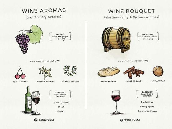 赤霞珠葡萄酒不同类别香气 图片来源:winefolly.com