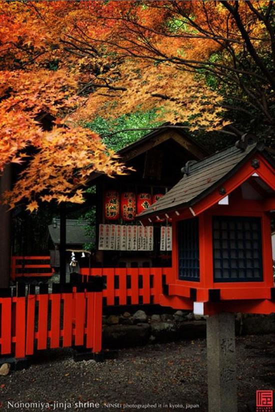京都野宫神社 图片来源自sincere