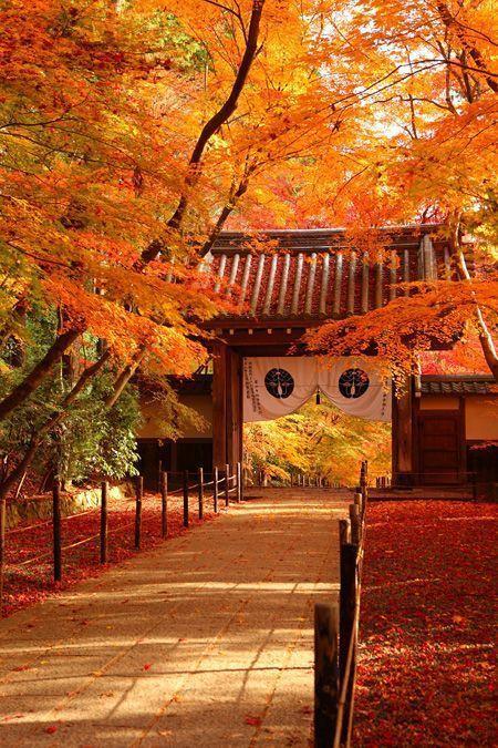 日本寺庙 图片来源自Koichiro Fujino