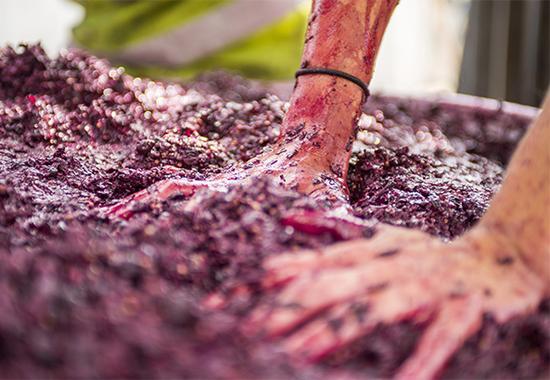 图片来源:winefront