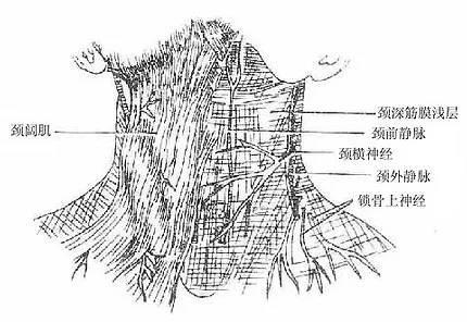 女刊美容：20岁的奚梦瑶，这个部位堪比40岁大妈！