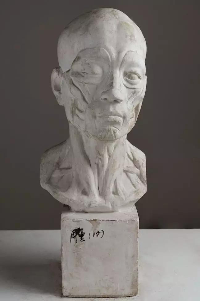 解剖头像 / 叶庆文 / 56 × 23 × 23 cm / 石膏 / 1953